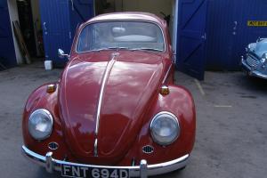  Rare 1966 VW Beetle 6 volt low mileage Stored unused since 1986 1 owner 