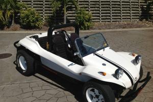  VW MAX FX Buggy  Photo