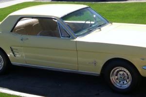 Ford : Mustang