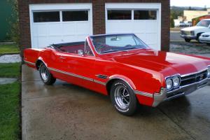 1966 OLDS 442 CONVERTIBLE AUTOMATIC NUMBERS MATCHING ONE OF 2853 PRODUCED