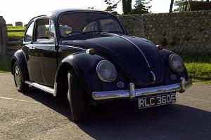  Classic VW Beetle 1500 1966/67 Presented in L41 Factory Black  Photo