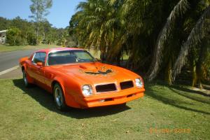  1976 Pontiac Firbird Trans AM Camaro Corvette Buyers Look in Austinville, QLD  Photo