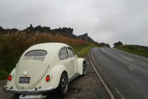  VW Oval Window Cal Look Beetle, award winning custom bug  Photo