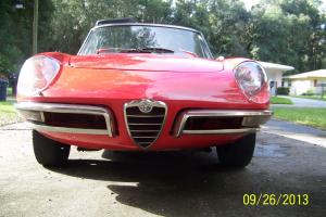 1968 Alfa Romeo Spider