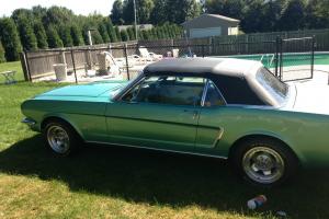 1964 1-2 Ford Mustang Convertable Photo
