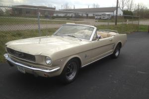 1966 289-V8 Ford Mustang Convertible Palmetto Trim Luxury Photo