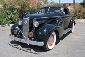1937 LaSalle Convertible Coupe Cadillac vintage classic beauty FULL RESTORATION Photo