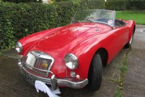 mga 1500 roadster, ex South Africa  Photo