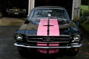 Mustang Fastback Pro Touring Supercharged  302 5 Speed Photo