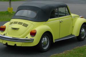 null Convertible Beetle Photo
