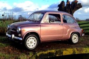  1973 FIAT 600L FULLY RESTORED BY CLASSIC FIAT SPECIALISTS IN EUROPE  Photo