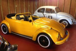  show winning potential , new beetle roadster conversion ,px/swap/swop,xmas deal  Photo