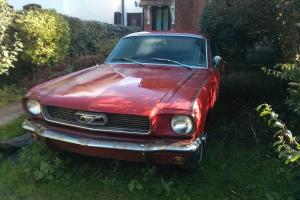  FORD MUSTANG 1966 RARE 
