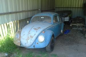 VW Beetle Oval in Melbourne, VIC Photo