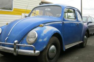 Volkswagon Beetle 67 Model 1300 Deluxe in Central Highlands, VIC Photo