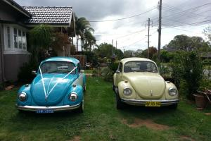 VW Beetle 1971 in Sydney, NSW