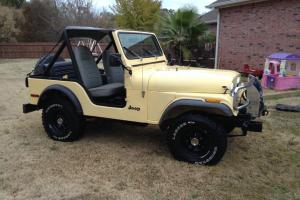 Jeep : CJ wrangler