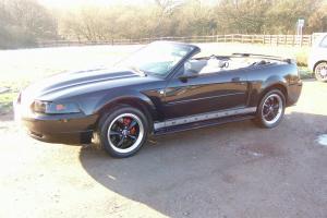 LADIES & GENTS HERE'S A PRETTY MUCH EXQUISITE MUSTANG CONVERTIBLE Photo