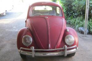 VW Beetle 63 Model Rust Free in Central Highlands, VIC