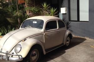 VW Beetle 1967 in Melbourne, VIC
