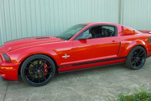 2009 Shelby Mustang Supersnake in Moreton, QLD Photo