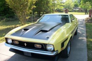 Ford : Mustang Boss 351 Photo