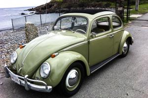 1960 VW Beetle with Sunroof - MINT Photo