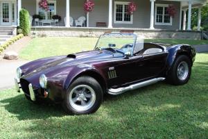 Shelby roadster ,classic roadster ,cobra Photo