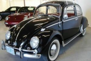 1965 Volkswagen Beetle Classic THOUSANDS INVESTED Photo