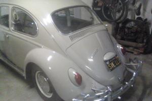 1966 VW bug ORIGINAL PAINT & window sticker