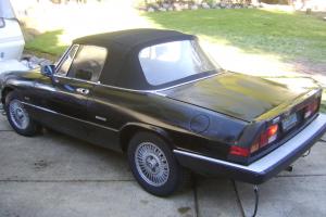 1986 Alfa Romeo Spider Graduate 2.0L  California Car... Rust Free.... no reserve