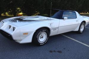 1981 Trans Am Nascar Daytona Pace Car