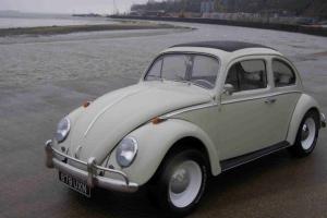 1962 VOLKSWAGEN BEETLE LHD 1200 PEARL WHITE Photo