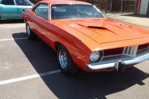Muscle Hi PerformanceOrangeDream Collector Beauty Sharpe The cats meow Show Time Photo