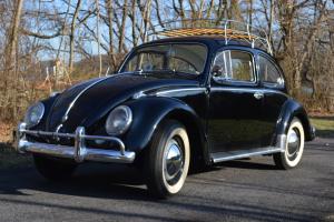 1959 Classic Beetle, Incredibly original, original 6V system, 36hp, Wonderful! Photo