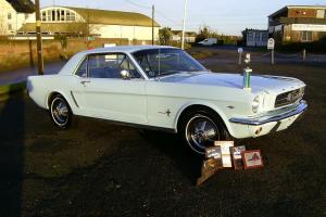 Show Winning 1964 1/2 Ford Mustang V8 Photo
