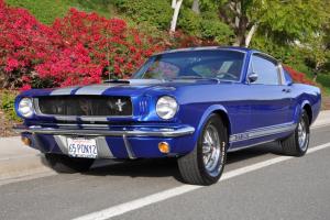 1965 Ford Mustang Base 4.7L- GT 350 Tribute