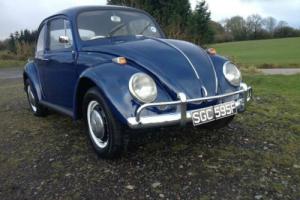 Volkswagen Beetle 1967 Photo