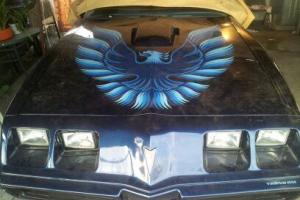 Blue Firebird Trans Am pontiac 1979