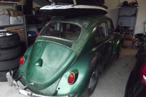 VW Beetle 1966 in Coolum Beach, QLD