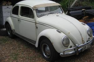 1962 VW Beetle Deluxe Very Original in Eagleby, QLD Photo
