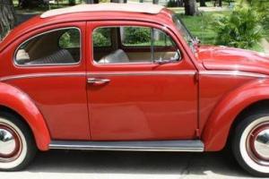 Mint 1960 VW Beetle Photo