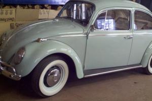 1966 Volkswagen Beetle Base 1.3L Photo
