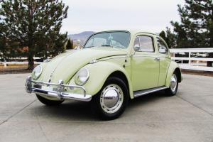 All Original Beryl Green 1962 Volkswagen VW Beetle Bug 6v Deluxe Wolfsburg Ed 62 Photo
