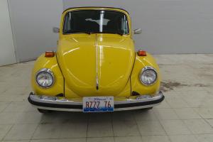 Bug, Convertible, Super Beetle Photo