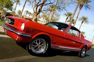 1965 FORD MUSTANG FASTBACK 4 SPEED 289 HP FRESH RESTORATION SELLING NO RESERVE!