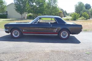 1966 Mustang Photo