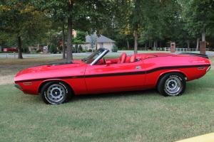 1970 Dodge Challenger R/T Tribute Convertible Photo
