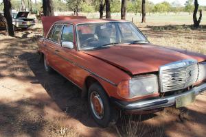 Mercedes W123 Series 300D 230 AND 280E Collection in Dubbo, NSW