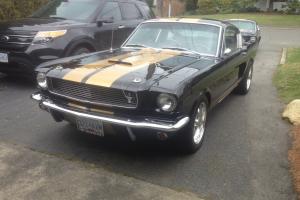 Ford : Mustang GT350H restomod clone Photo